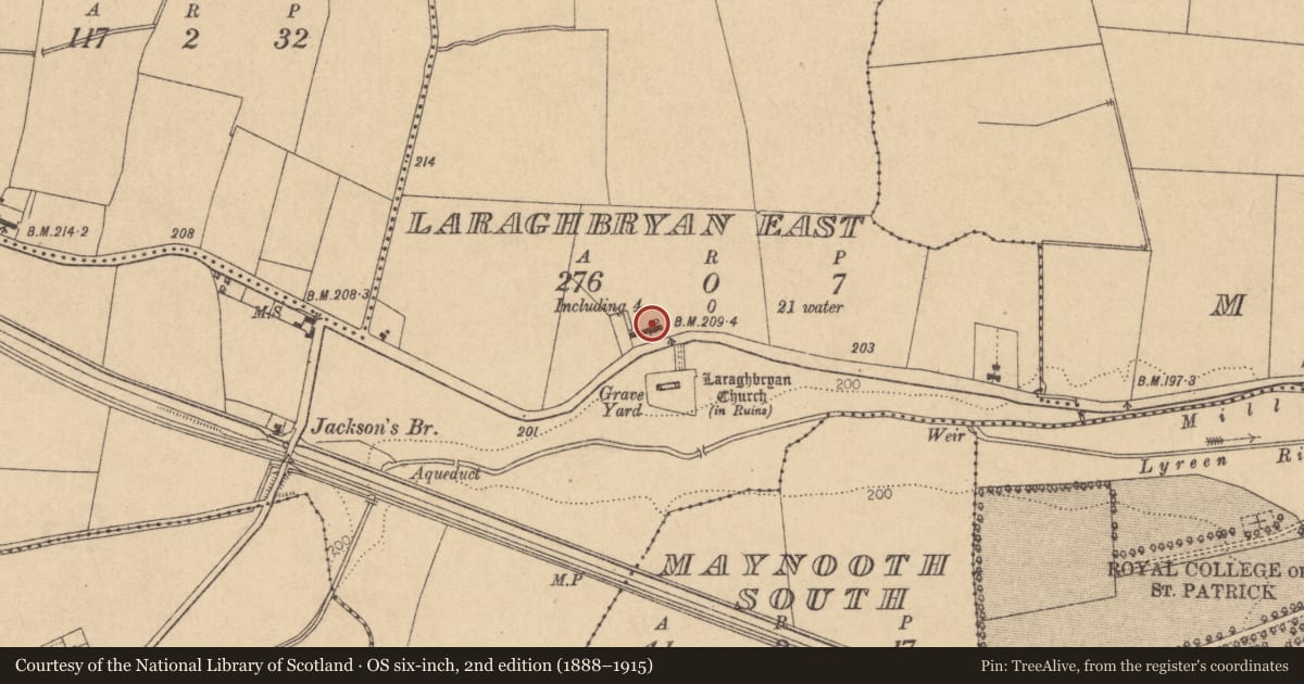 Ordnance Survey six-inch map, 2nd edition (1888–1915) covering the location of Castle - unclassified, Laraghbryan East, County Kildare, with a pin at the register's coordinates