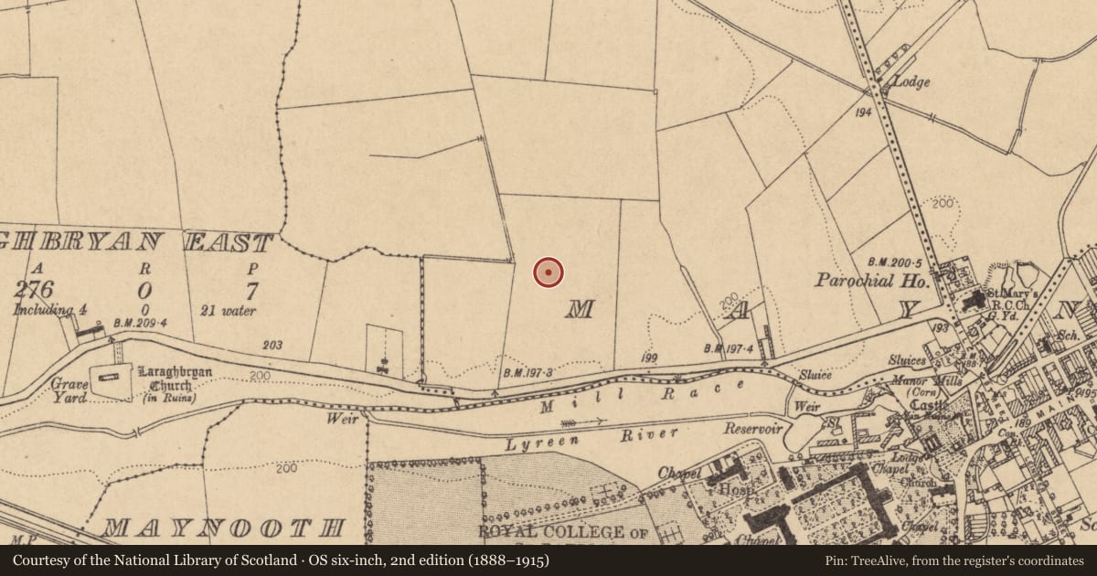Ordnance Survey six-inch map, 2nd edition (1888–1915) covering the location of Ring-ditch, Maynooth, County Kildare, with a pin at the register's coordinates