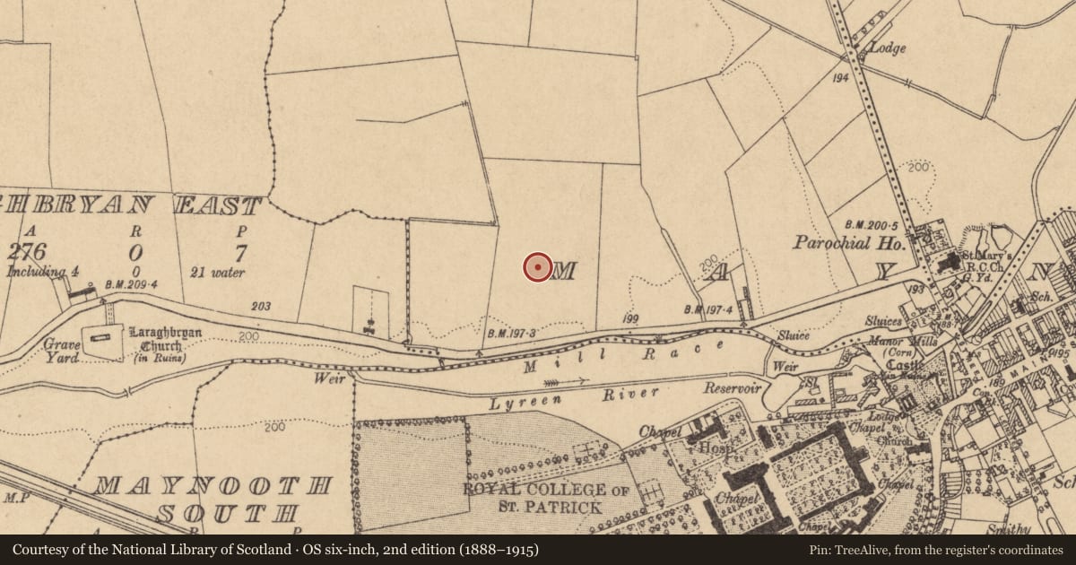 Ordnance Survey six-inch map, 2nd edition (1888–1915) covering the location of Road - road/trackway, Maynooth, County Kildare, with a pin at the register's coordinates