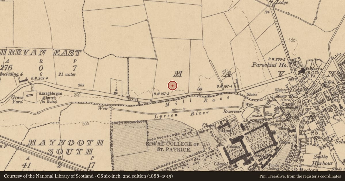 Ordnance Survey six-inch map, 2nd edition (1888–1915) covering the location of Field system, Maynooth, County Kildare, with a pin at the register's coordinates