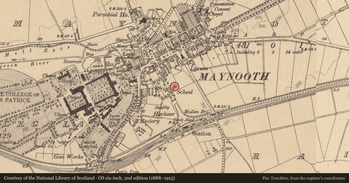 Ordnance Survey six-inch map, 2nd edition (1888–1915) covering the location of Architectural feature, Maynooth, County Kildare, with a pin at the register's coordinates