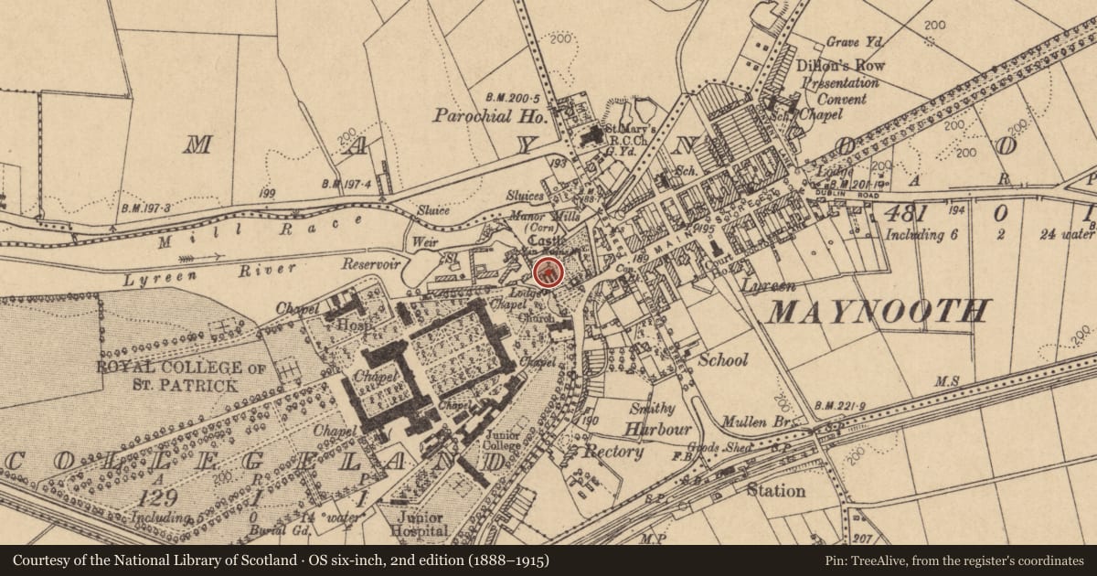 Ordnance Survey six-inch map, 2nd edition (1888–1915) covering the location of Castle - Anglo-Norman masonry castle, Maynooth, County Kildare, with a pin at the register's coordinates