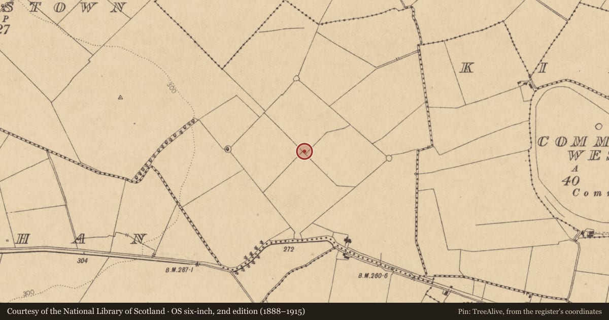 Ordnance Survey six-inch map, 2nd edition (1888–1915) covering the location of Bawn, Pitchfordstown, County Kildare, with a pin at the register's coordinates