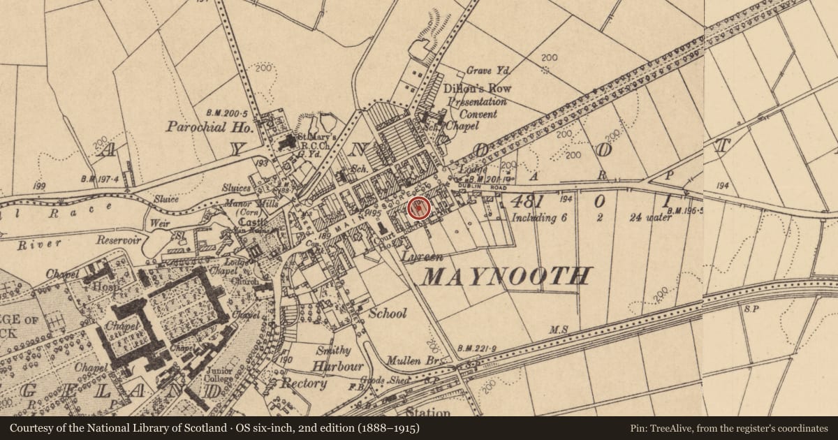 Ordnance Survey six-inch map, 2nd edition (1888–1915) covering the location of Field boundary, Maynooth, County Kildare, with a pin at the register's coordinates