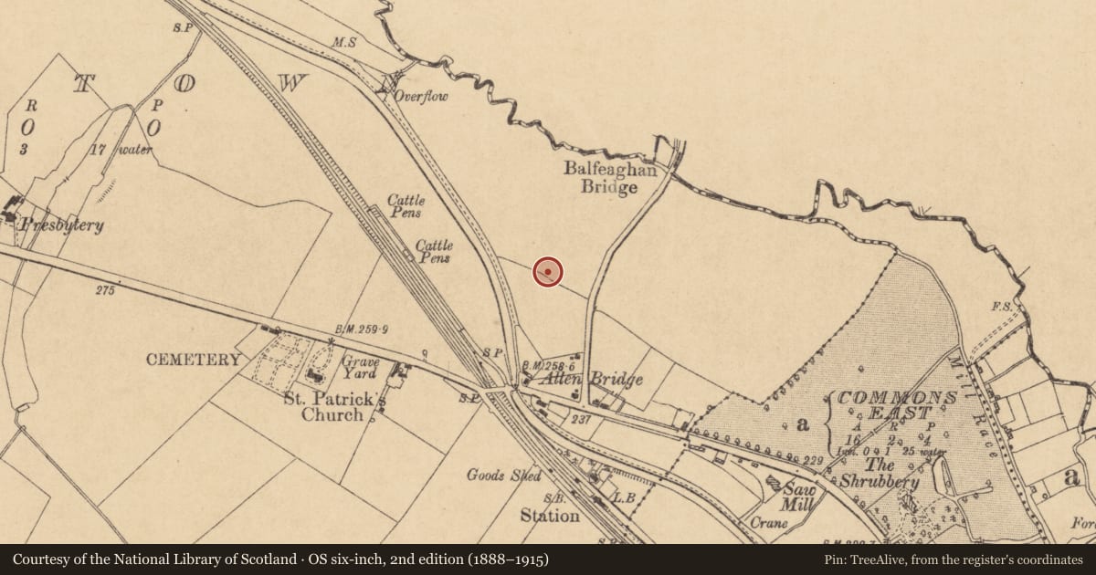 Ordnance Survey six-inch map, 2nd edition (1888–1915) covering the location of Excavation - miscellaneous, Boycetown, County Kildare, with a pin at the register's coordinates