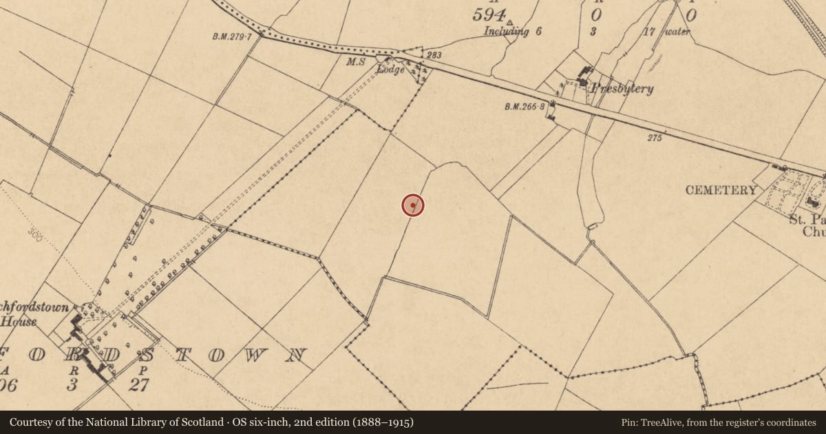 Ordnance Survey six-inch map, 2nd edition (1888–1915) covering the location of Habitation site, Boycetown, County Kildare, with a pin at the register's coordinates