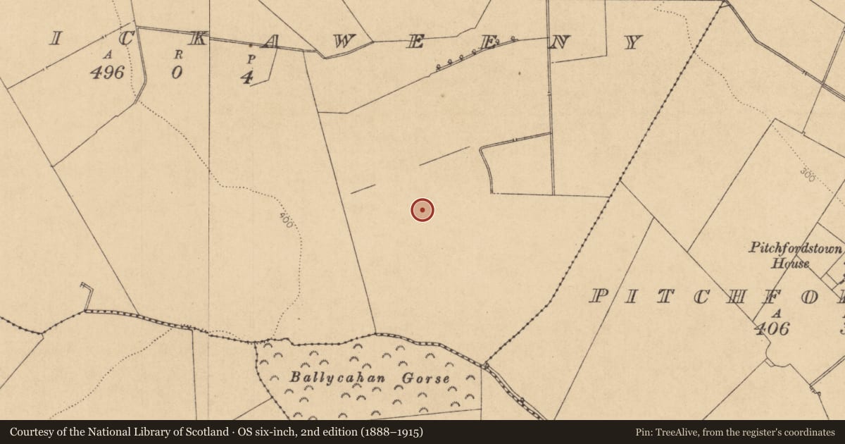Ordnance Survey six-inch map, 2nd edition (1888–1915) covering the location of Metalworking site, Killickaweeny, County Kildare, with a pin at the register's coordinates