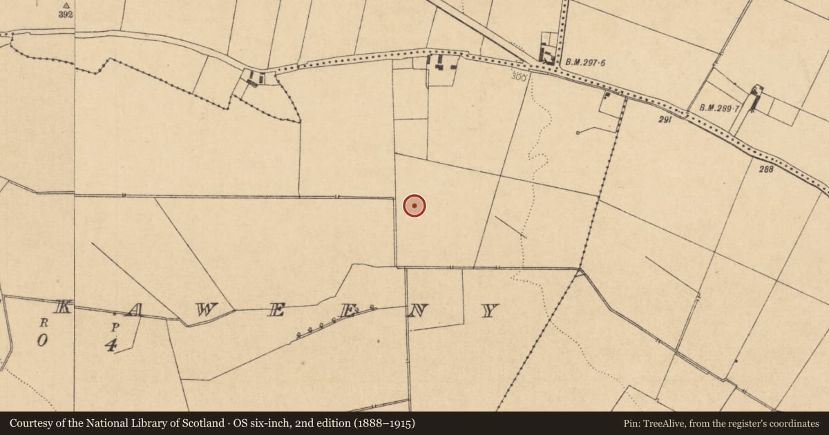 Ordnance Survey six-inch map, 2nd edition (1888–1915) covering the location of Hearth, Killickaweeny, County Kildare, with a pin at the register's coordinates
