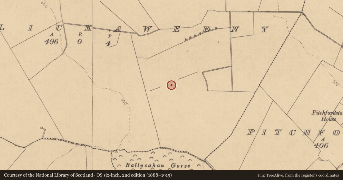 Ordnance Survey six-inch map, 2nd edition (1888–1915) covering the location of Habitation site, Killickaweeny, County Kildare, with a pin at the register's coordinates