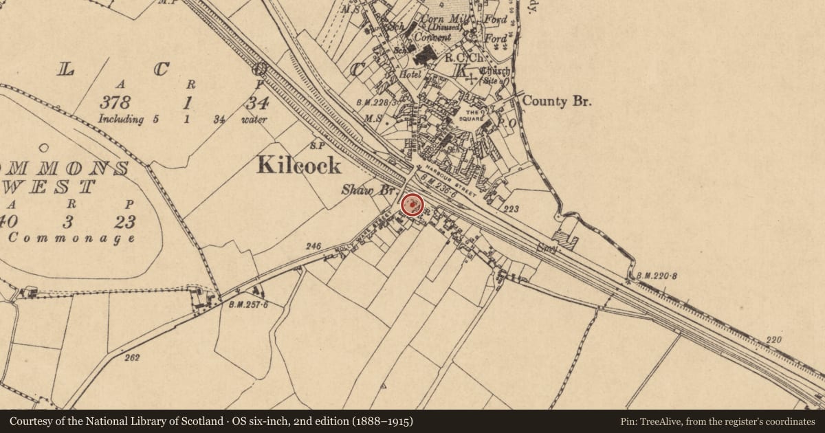 Ordnance Survey six-inch map, 2nd edition (1888–1915) covering the location of Cross - Market cross, Kilcock, County Kildare, with a pin at the register's coordinates