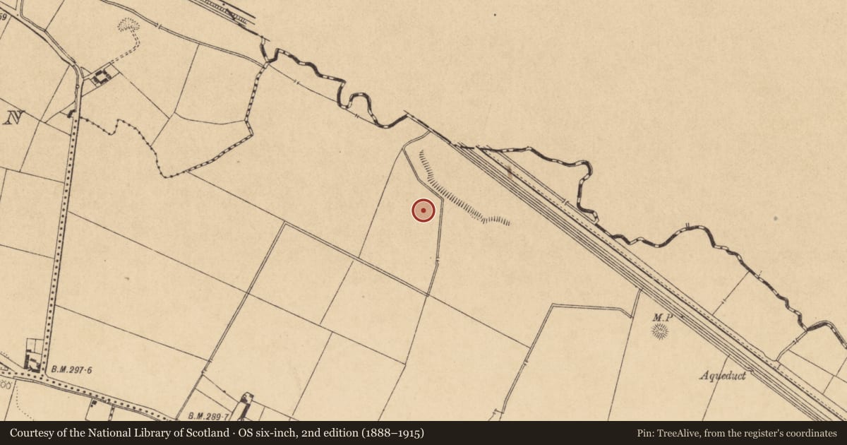 Ordnance Survey six-inch map, 2nd edition (1888–1915) covering the location of Barrow - ring-barrow, Boycetown, County Kildare, with a pin at the register's coordinates