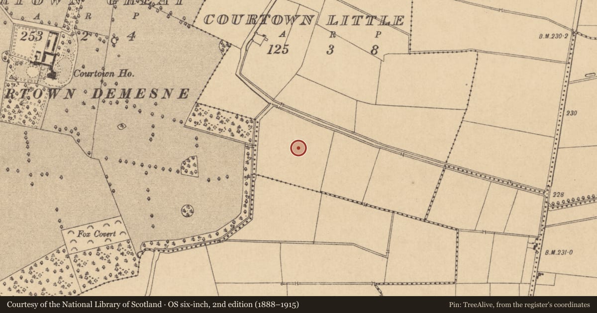 Ordnance Survey six-inch map, 2nd edition (1888–1915) covering the location of Enclosure, Courtown Little, County Kildare, with a pin at the register's coordinates