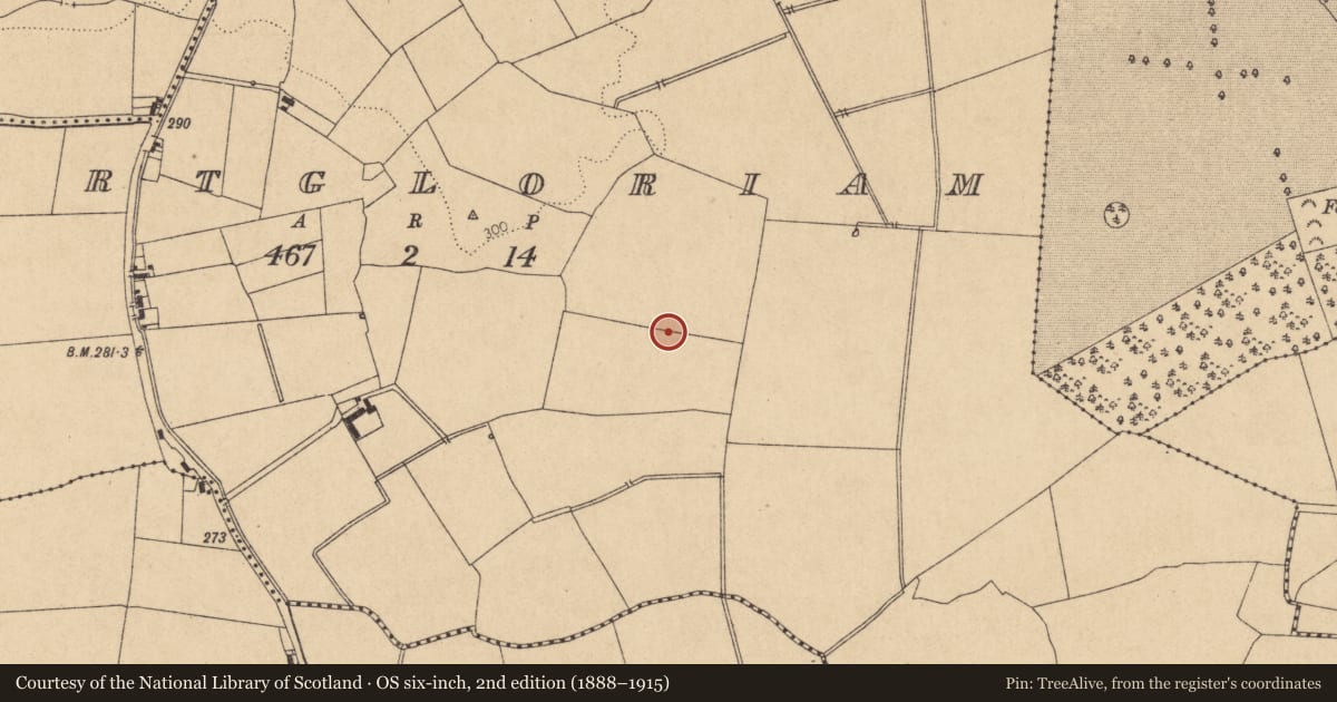 Ordnance Survey six-inch map, 2nd edition (1888–1915) covering the location of Enclosure, Portgloriam, County Kildare, with a pin at the register's coordinates