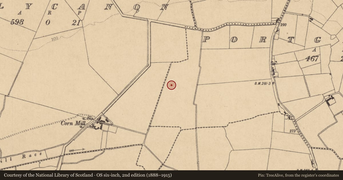 Ordnance Survey six-inch map, 2nd edition (1888–1915) covering the location of Enclosure, Portgloriam, County Kildare, with a pin at the register's coordinates