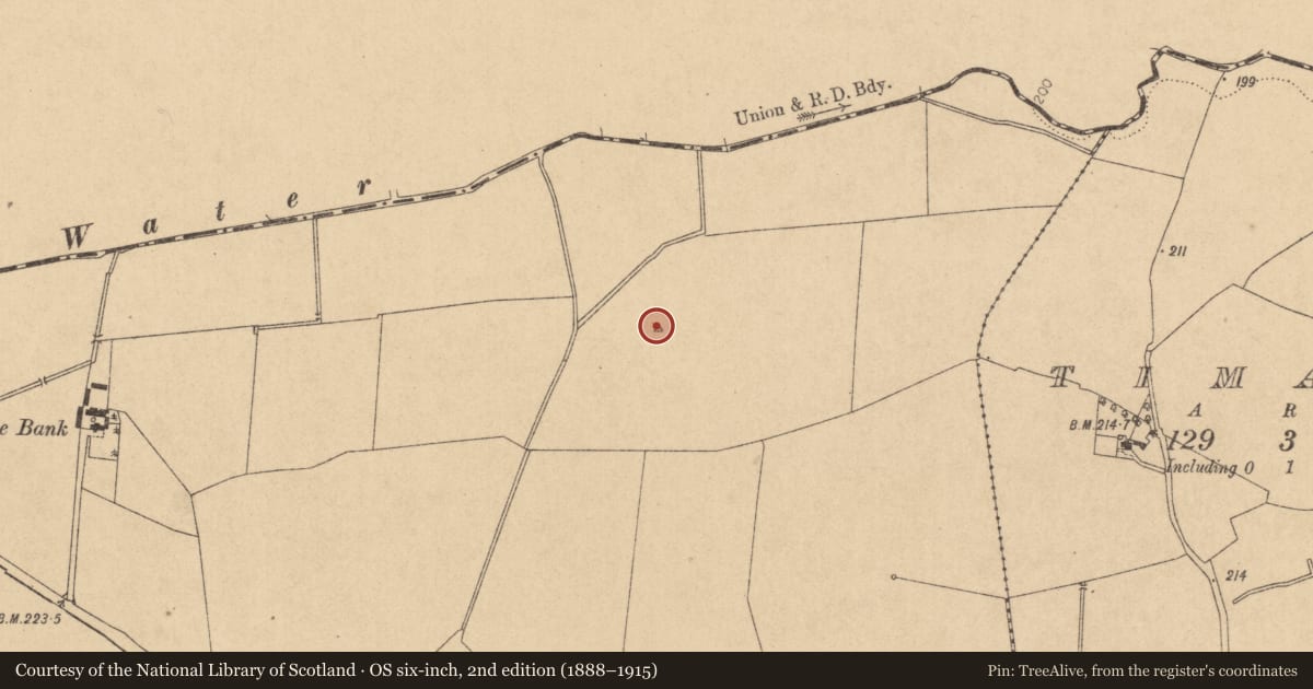 Ordnance Survey six-inch map, 2nd edition (1888–1915) covering the location of Ring-ditch, Maws, County Kildare, with a pin at the register's coordinates