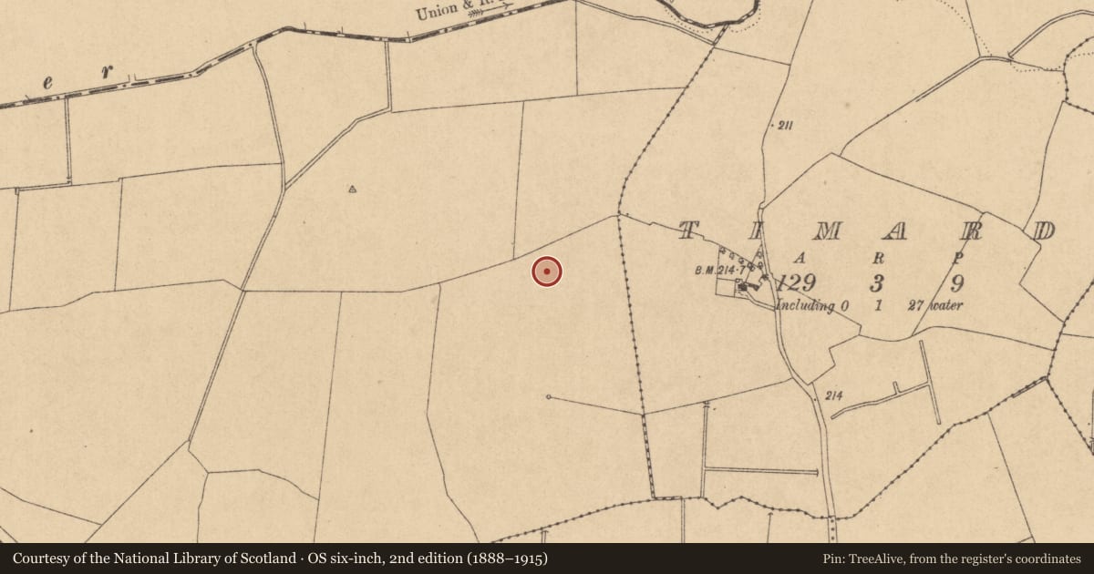 Ordnance Survey six-inch map, 2nd edition (1888–1915) covering the location of Ring-ditch, Maws, County Kildare, with a pin at the register's coordinates