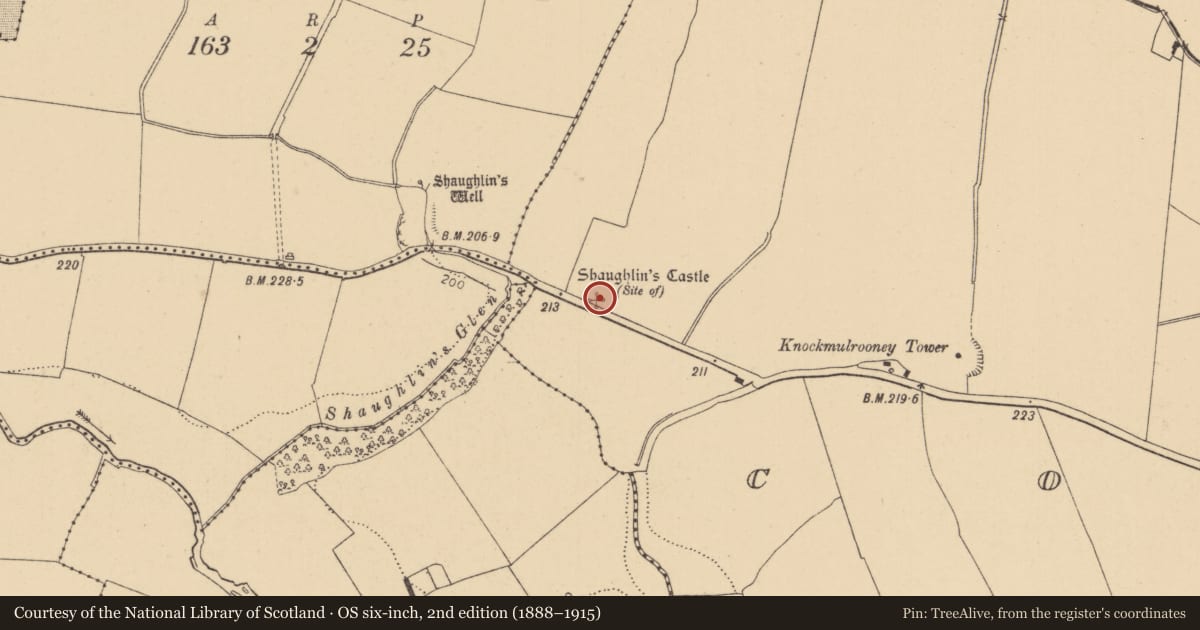 Ordnance Survey six-inch map, 2nd edition (1888–1915) covering the location of Castle - unclassified, Confey, County Kildare, with a pin at the register's coordinates