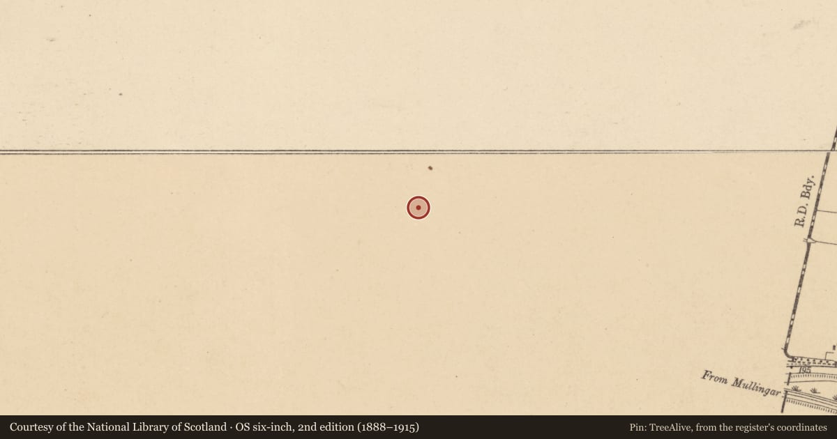 Ordnance Survey six-inch map, 2nd edition (1888–1915) covering the location of Graveyard, Confey, County Kildare, with a pin at the register's coordinates