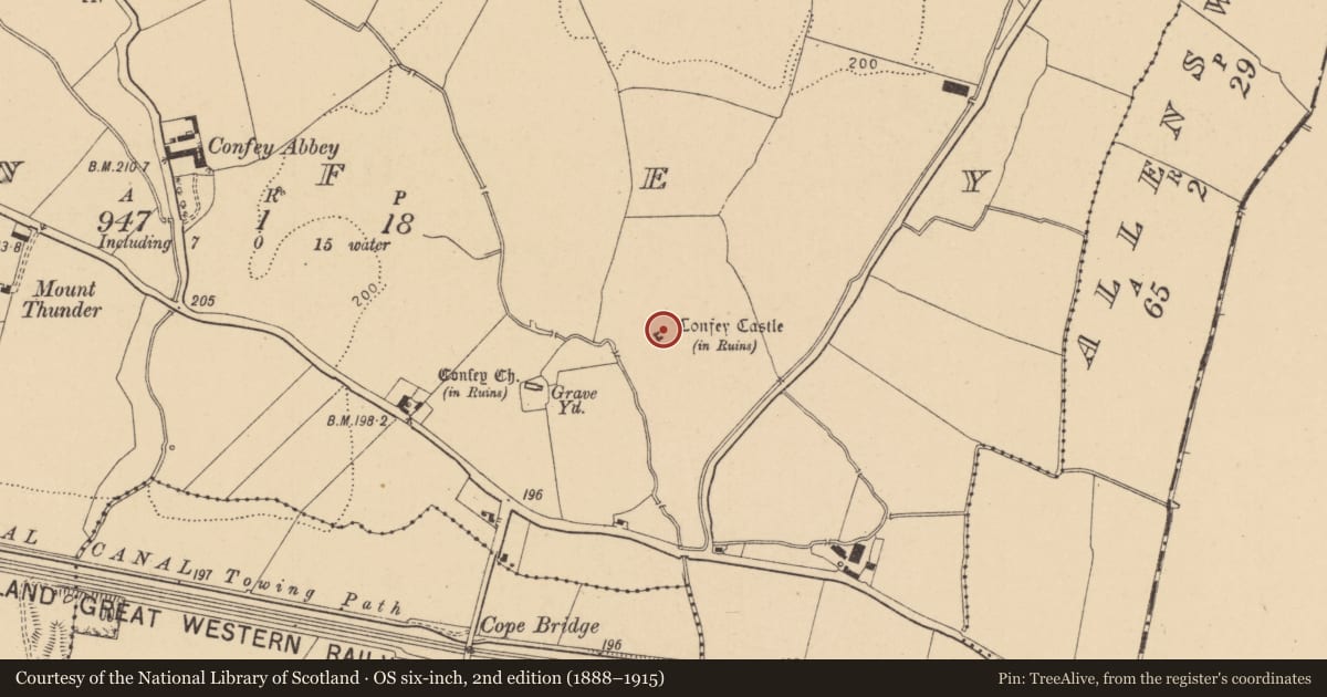 Ordnance Survey six-inch map, 2nd edition (1888–1915) covering the location of Castle - tower house, Confey, County Kildare, with a pin at the register's coordinates