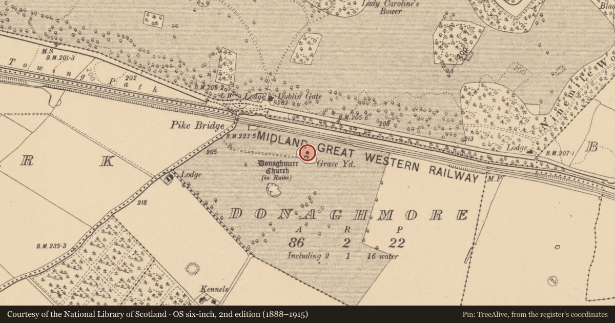 Ordnance Survey six-inch map, 2nd edition (1888–1915) covering the location of Ogham stone, Donaghmore, County Kildare, with a pin at the register's coordinates