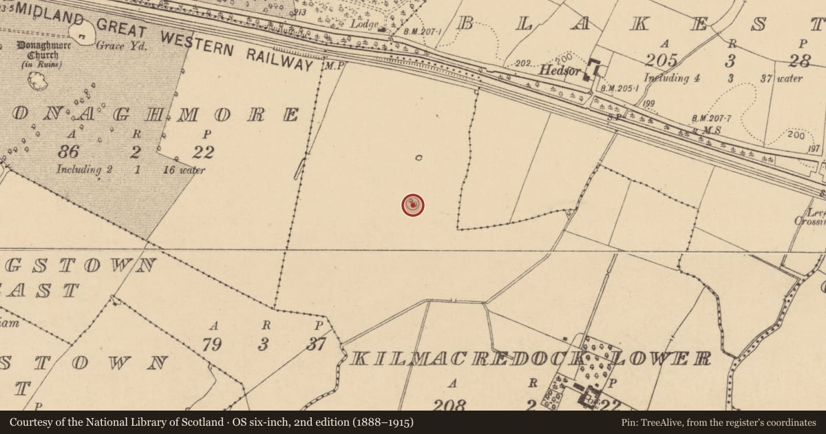 Ordnance Survey six-inch map, 2nd edition (1888–1915) covering the location of Ringfort - rath, Kilmacredock Lower, County Kildare, with a pin at the register's coordinates