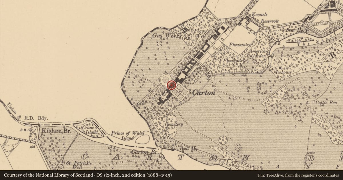 Ordnance Survey six-inch map, 2nd edition (1888–1915) covering the location of House - 17th century, Carton Demesne, County Kildare, with a pin at the register's coordinates