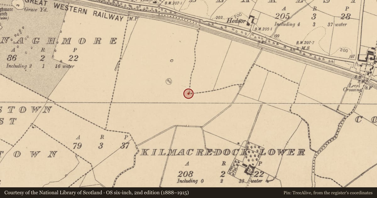 Ordnance Survey six-inch map, 2nd edition (1888–1915) covering the location of Standing stone, Kilmacredock Lower, County Kildare, with a pin at the register's coordinates