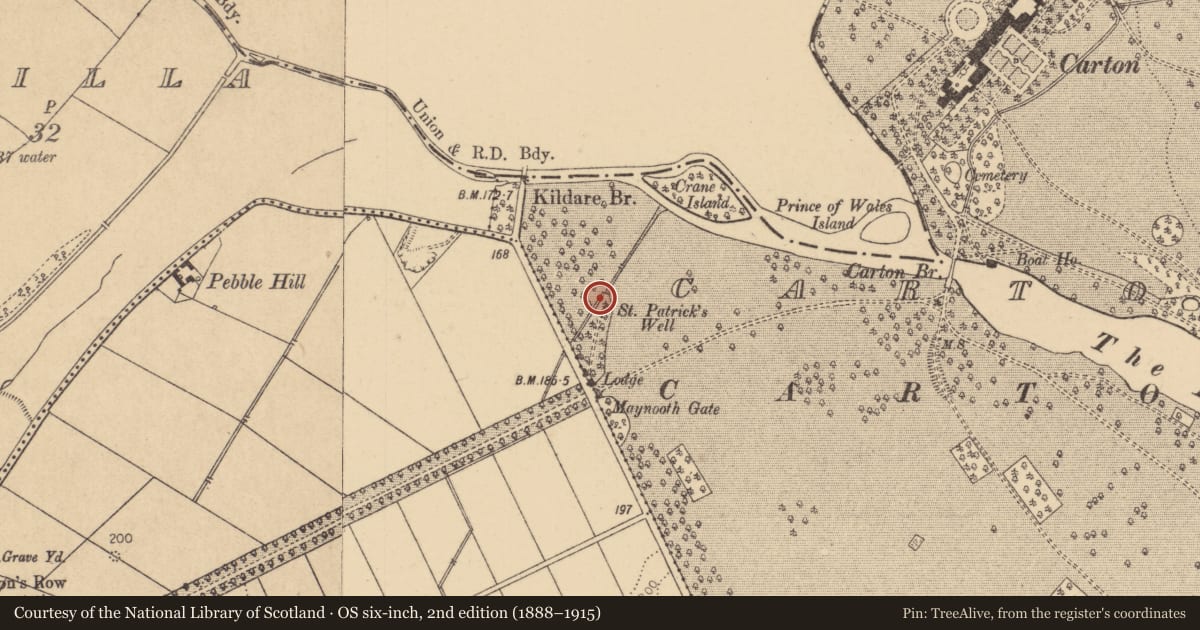 Ordnance Survey six-inch map, 2nd edition (1888–1915) covering the location of Ritual site - holy well, Carton Demesne, County Kildare, with a pin at the register's coordinates