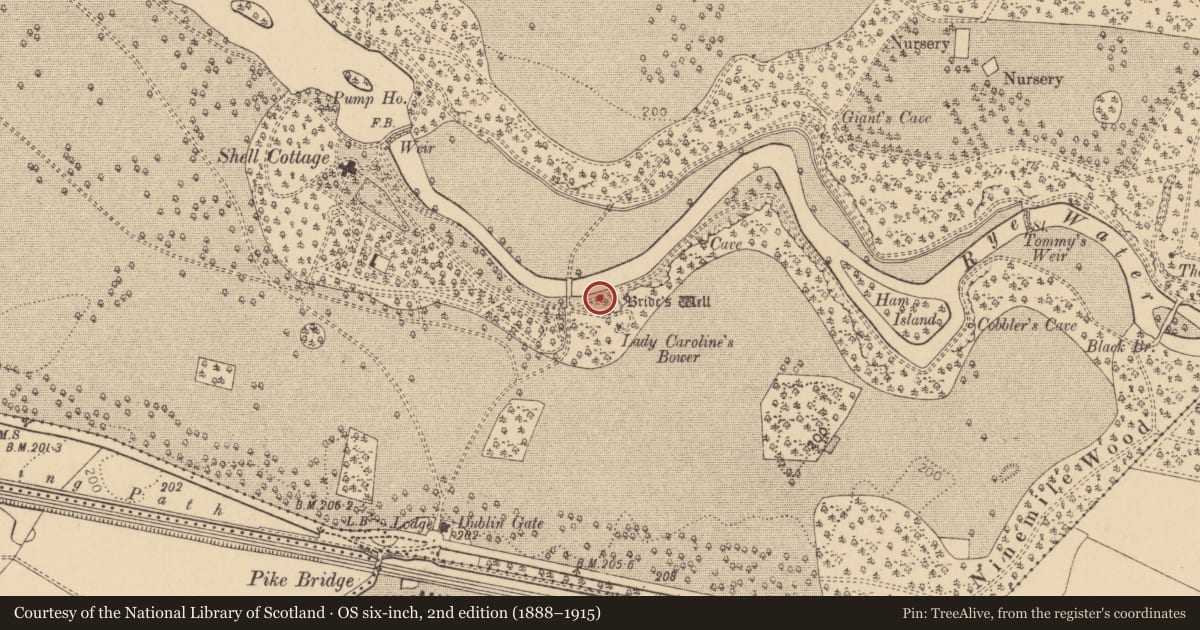 Ordnance Survey six-inch map, 2nd edition (1888–1915) covering the location of Ritual site - holy well, Carton Demesne, County Kildare, with a pin at the register's coordinates