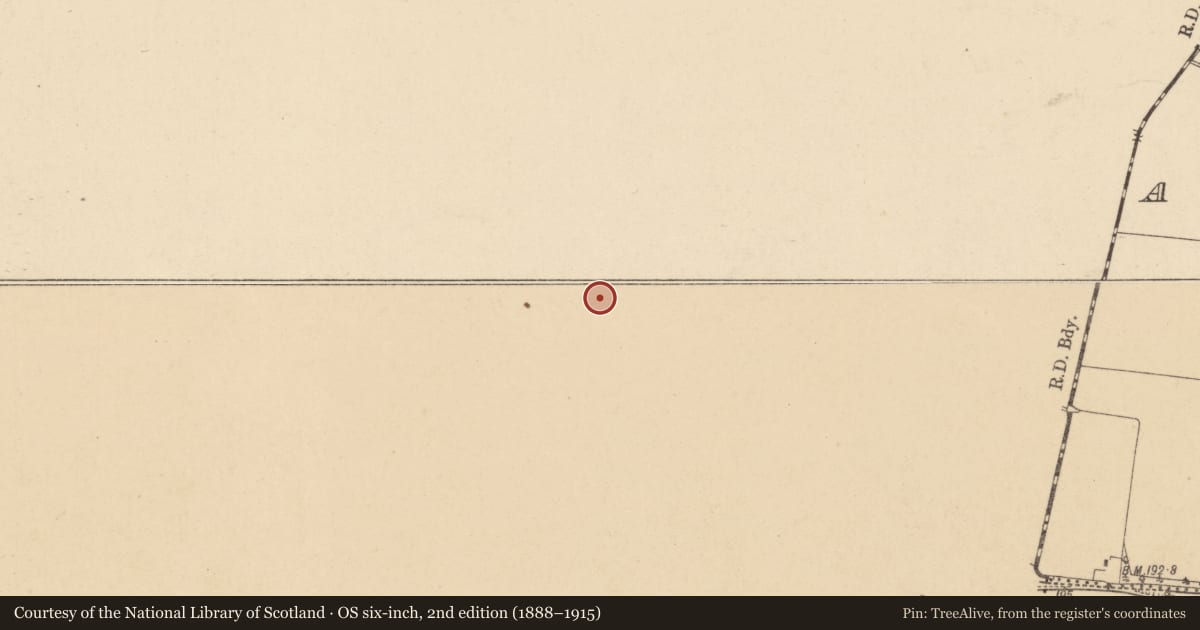Ordnance Survey six-inch map, 2nd edition (1888–1915) covering the location of Field system, Confey, County Kildare, with a pin at the register's coordinates