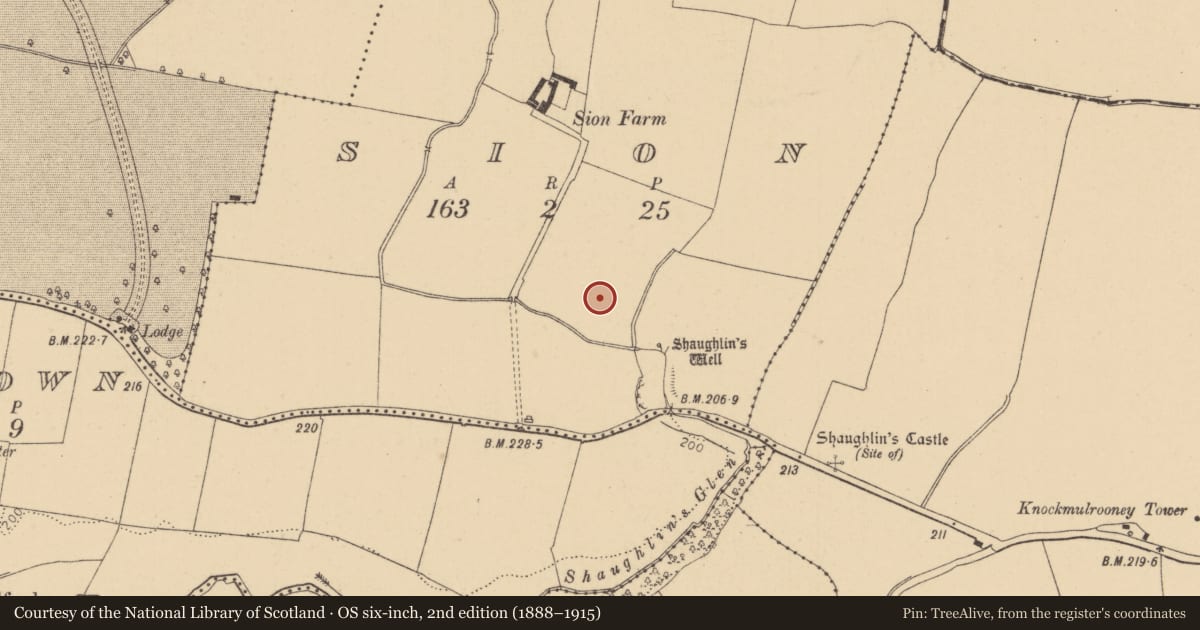 Ordnance Survey six-inch map, 2nd edition (1888–1915) covering the location of Ring-ditch, Sion, County Kildare, with a pin at the register's coordinates