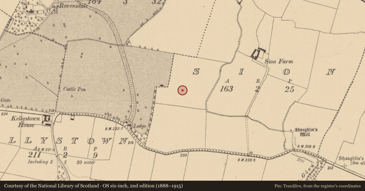 Ordnance Survey six-inch map, 2nd edition (1888–1915) covering the location of Ring-ditch, Sion, County Kildare, with a pin at the register's coordinates