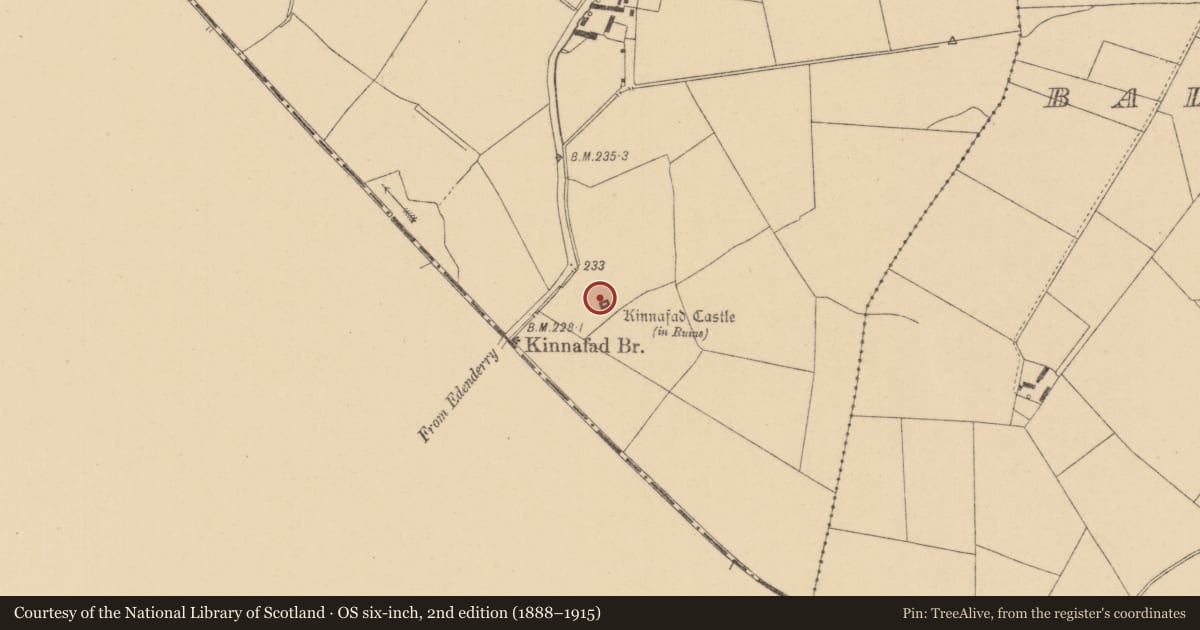 Ordnance Survey six-inch map, 2nd edition (1888–1915) covering the location of Bawn, Kinnafad, County Kildare, with a pin at the register's coordinates