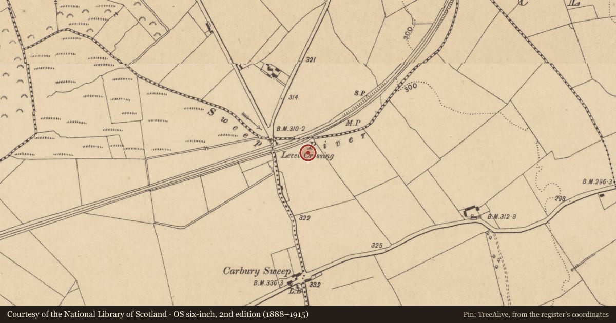 Ordnance Survey six-inch map, 2nd edition (1888–1915) covering the location of Enclosure, Collinstown, County Kildare, with a pin at the register's coordinates