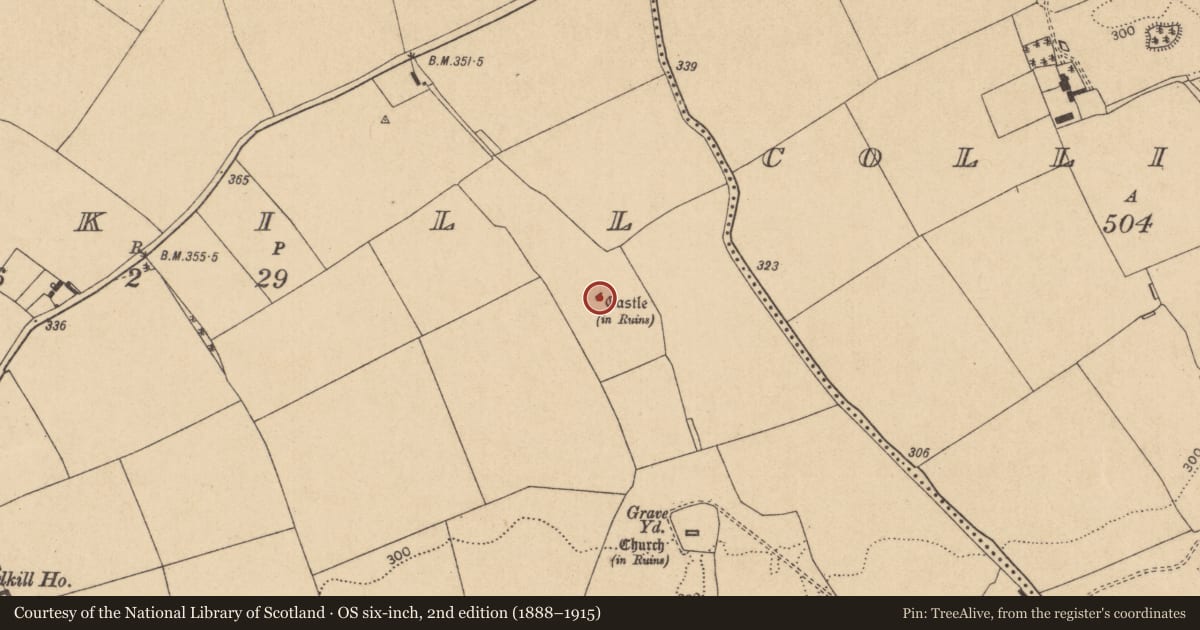 Ordnance Survey six-inch map, 2nd edition (1888–1915) covering the location of Castle - tower house, Ardkill, County Kildare, with a pin at the register's coordinates