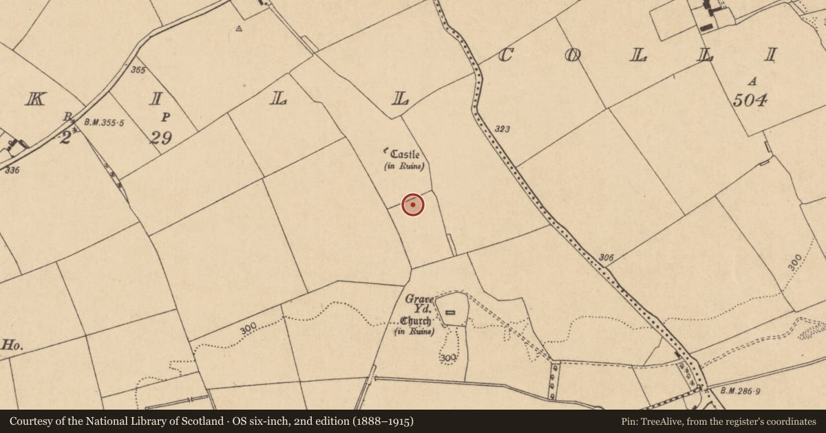 Ordnance Survey six-inch map, 2nd edition (1888–1915) covering the location of Settlement deserted - medieval, Ardkill, County Kildare, with a pin at the register's coordinates