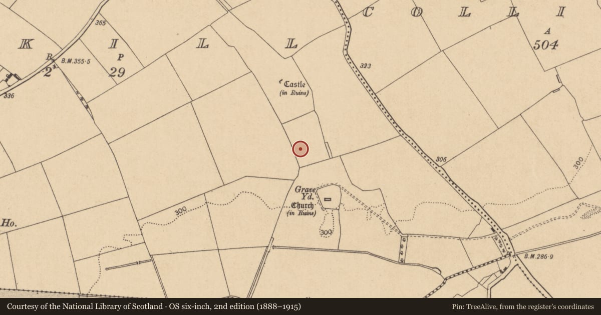 Ordnance Survey six-inch map, 2nd edition (1888–1915) covering the location of Road - hollow-way, Ardkill, County Kildare, with a pin at the register's coordinates