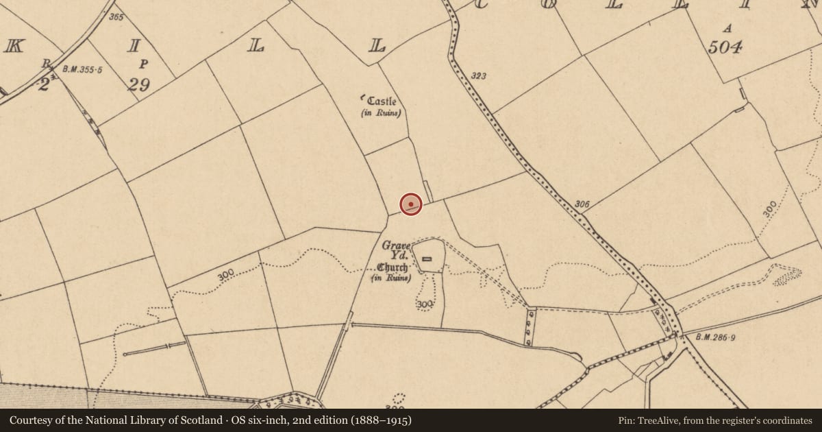 Ordnance Survey six-inch map, 2nd edition (1888–1915) covering the location of Road - hollow-way, Ardkill, County Kildare, with a pin at the register's coordinates