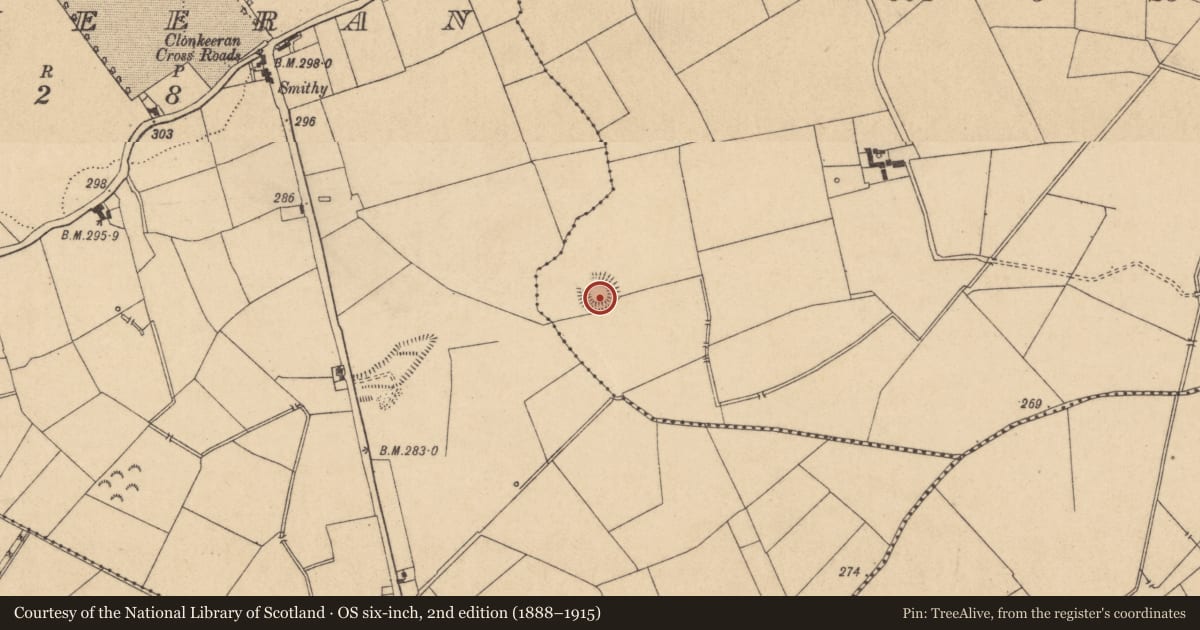 Ordnance Survey six-inch map, 2nd edition (1888–1915) covering the location of Ringfort - rath, Ballynamullagh, County Kildare, with a pin at the register's coordinates