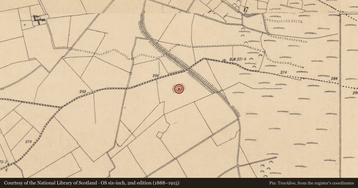 Ordnance Survey six-inch map, 2nd edition (1888–1915) covering the location of Ringfort - rath, Drehid, County Kildare, with a pin at the register's coordinates