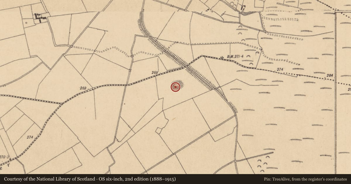 Ordnance Survey six-inch map, 2nd edition (1888–1915) covering the location of Souterrain, Drehid, County Kildare, with a pin at the register's coordinates