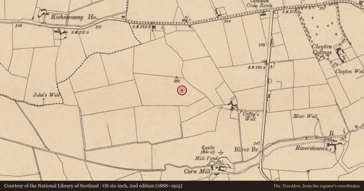 Ordnance Survey six-inch map, 2nd edition (1888–1915) covering the location of Ringfort - unclassified, Clonkeen, County Kildare, with a pin at the register's coordinates