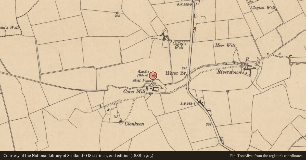 Ordnance Survey six-inch map, 2nd edition (1888–1915) covering the location of Castle - unclassified, Clonkeen, County Kildare, with a pin at the register's coordinates