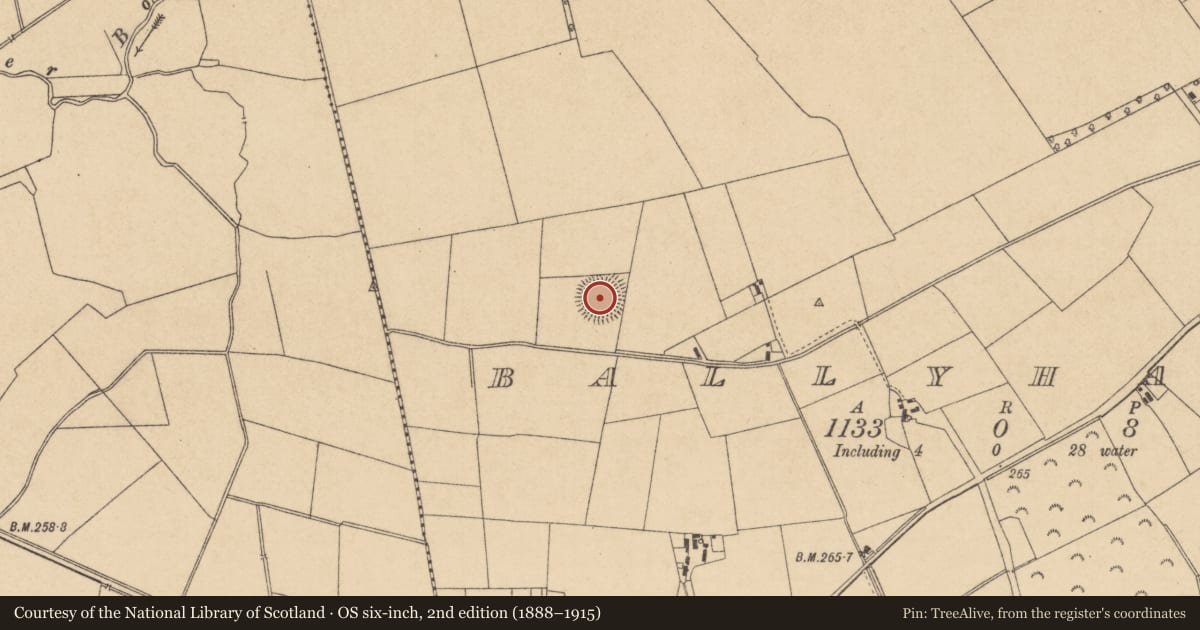 Ordnance Survey six-inch map, 2nd edition (1888–1915) covering the location of Ringfort - rath, Ballyhagan, County Kildare, with a pin at the register's coordinates