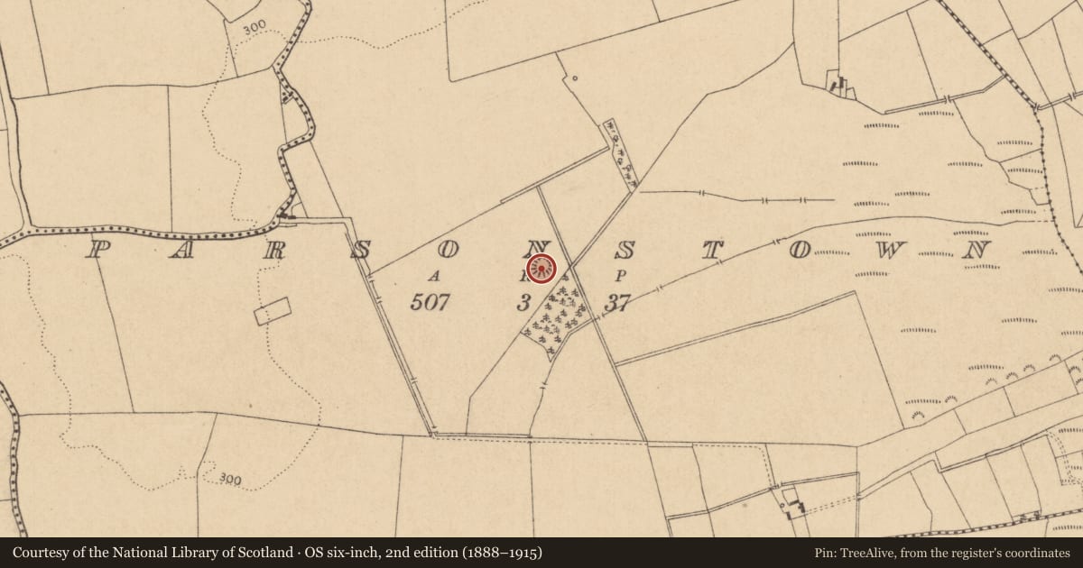 Ordnance Survey six-inch map, 2nd edition (1888–1915) covering the location of House - indeterminate date, Parsonstown, County Kildare, with a pin at the register's coordinates