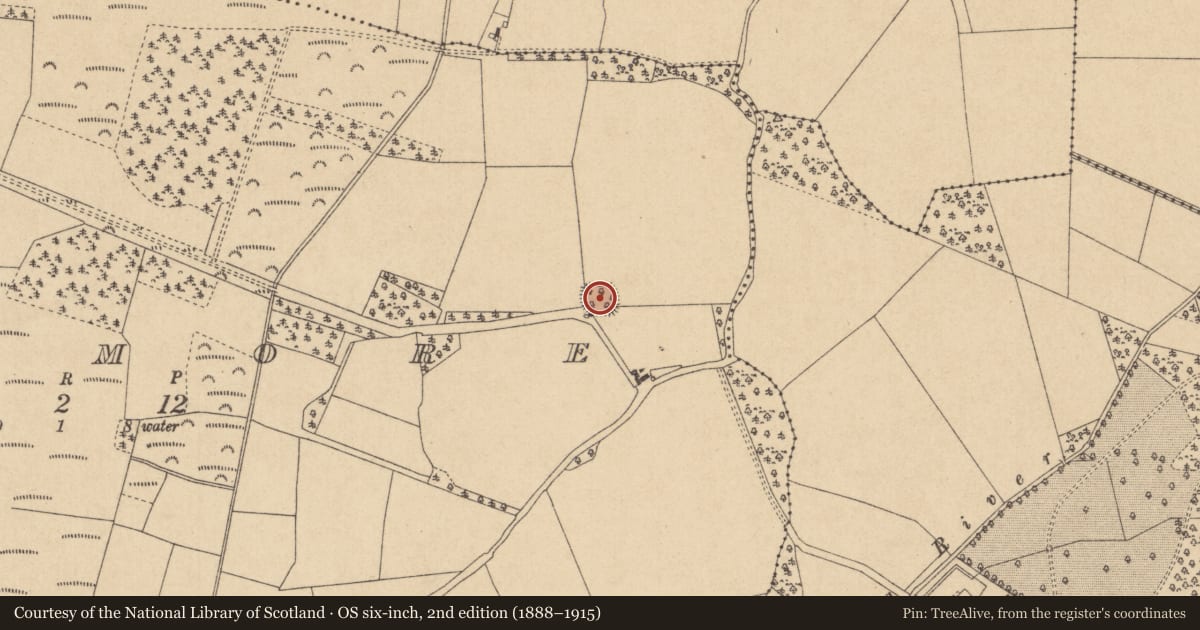 Ordnance Survey six-inch map, 2nd edition (1888–1915) covering the location of Moated site, Rathmore, County Kildare, with a pin at the register's coordinates