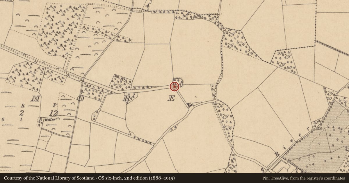Ordnance Survey six-inch map, 2nd edition (1888–1915) covering the location of Icehouse, Rathmore, County Kildare, with a pin at the register's coordinates
