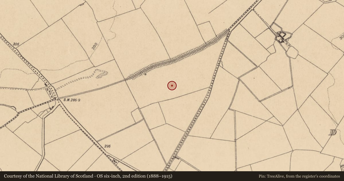 Ordnance Survey six-inch map, 2nd edition (1888–1915) covering the location of Church, Collinstown, County Kildare, with a pin at the register's coordinates