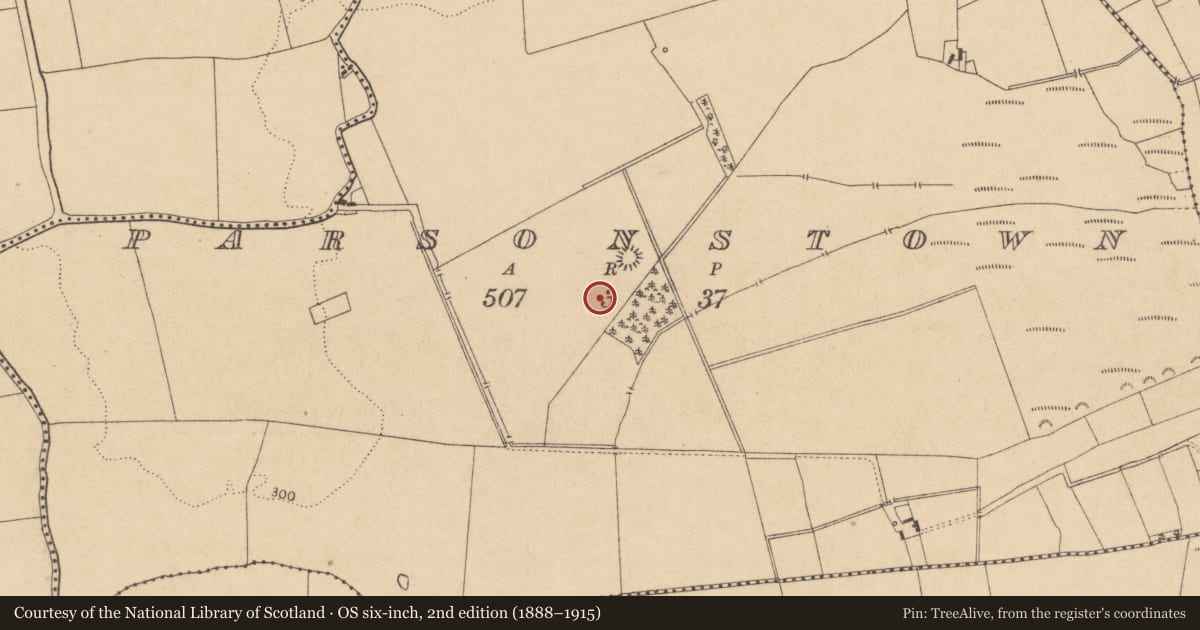 Ordnance Survey six-inch map, 2nd edition (1888–1915) covering the location of Enclosure, Parsonstown, County Kildare, with a pin at the register's coordinates