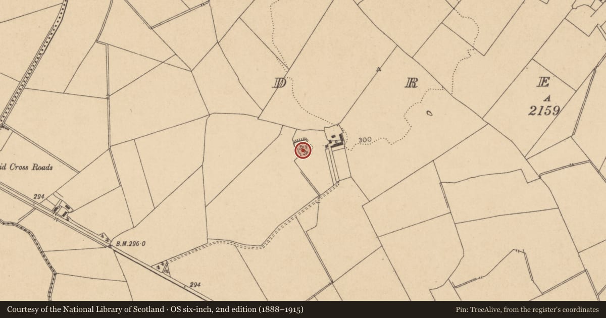 Ordnance Survey six-inch map, 2nd edition (1888–1915) covering the location of Moated site, Drehid, County Kildare, with a pin at the register's coordinates